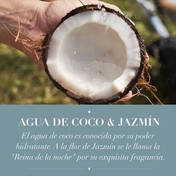 Acondicionador Agua De Coco & Jazmin 400 ml