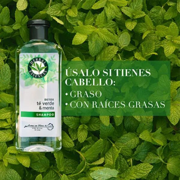 Shampoo Te Verde & Menta 400 ml