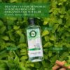 Shampoo Te Verde & Menta 400 ml