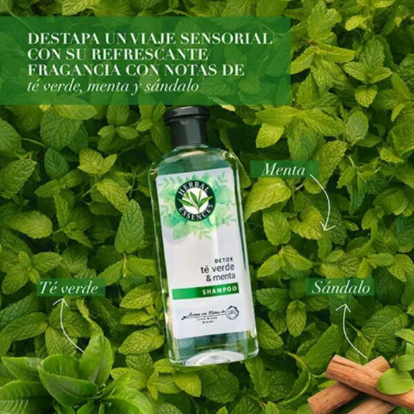 Shampoo Te Verde & Menta 400 ml