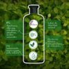Shampoo Te Verde & Menta 400 ml