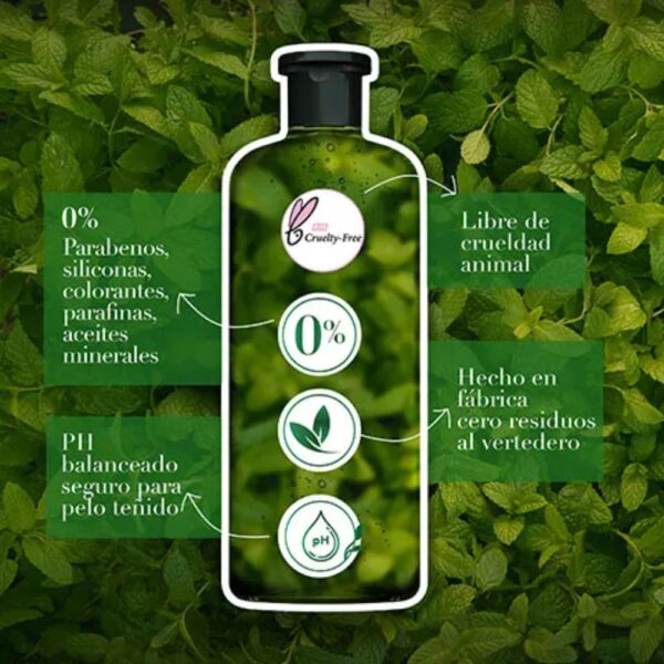 Shampoo Te Verde & Menta 400 ml