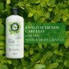 Acondicionador Te Verde & Menta 400 ml