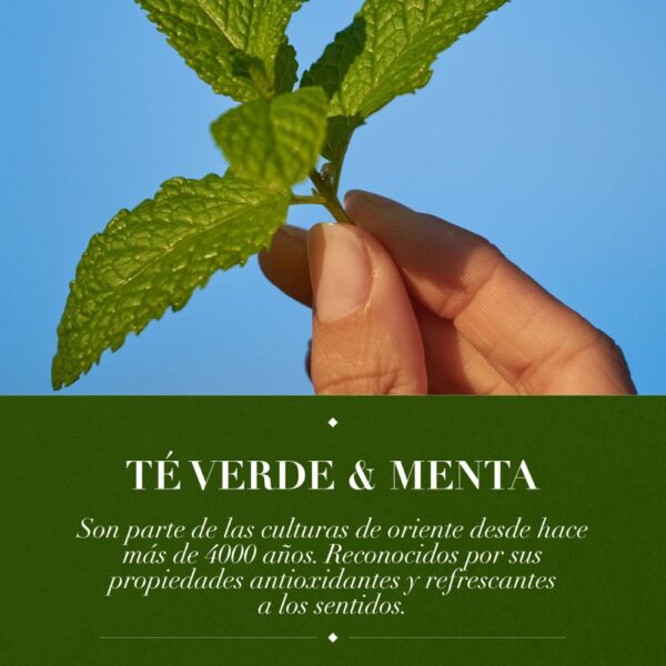 Acondicionador Te Verde & Menta 400 ml