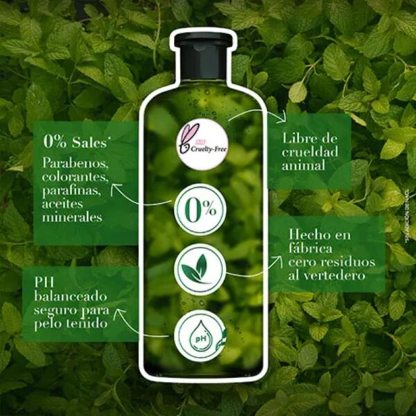 Acondicionador Te Verde & Menta 400 ml