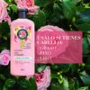 Acondicionador Classic Smooth 400 ml